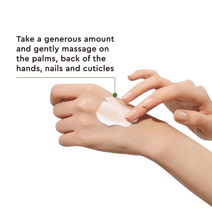 The Face Shop Daily Moment  Hand Cream 03 Noon Park - 30ml ( Vegan )