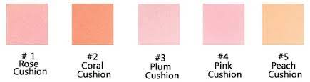 FMGT Pastel Cushion Blusher 01 - 5ML